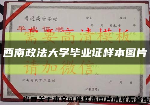 西南政法大学毕业证样本图片缩略图