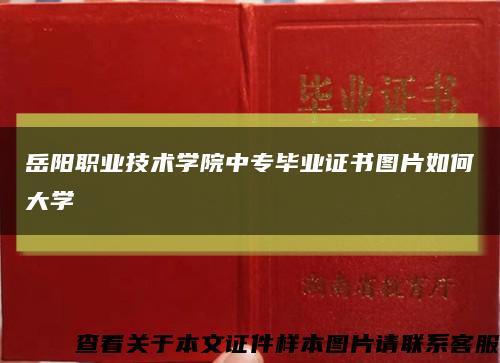 岳阳职业技术学院中专毕业证书图片如何大学缩略图