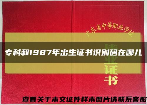 专科和1987年出生证书识别码在哪儿缩略图