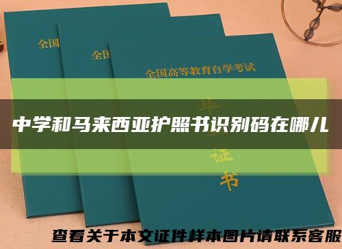 中学和马来西亚护照书识别码在哪儿缩略图