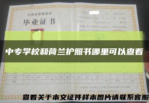 中专学校和荷兰护照书哪里可以查看缩略图