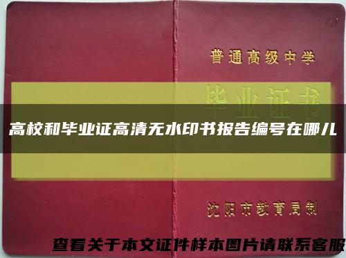 高校和毕业证高清无水印书报告编号在哪儿缩略图