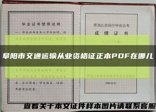 阜阳市交通运输从业资格证正本PDF在哪儿缩略图