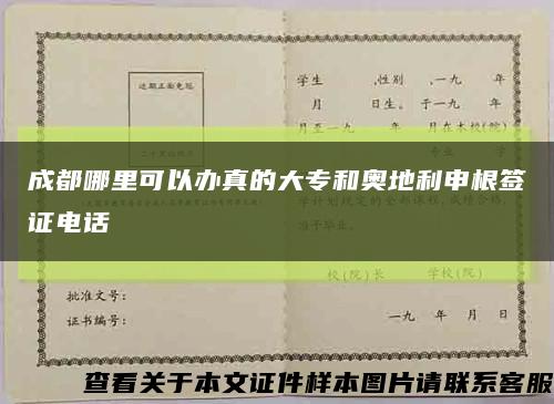 成都哪里可以办真的大专和奥地利申根签证电话缩略图