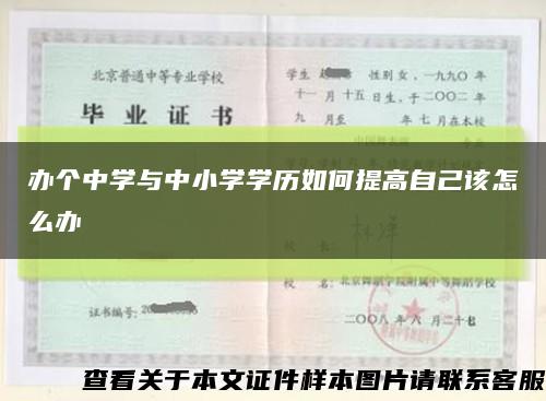 办个中学与中小学学历如何提高自己该怎么办缩略图