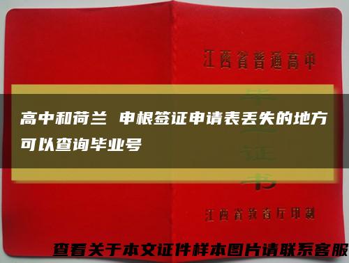 高中和荷兰 申根签证申请表丢失的地方可以查询毕业号缩略图