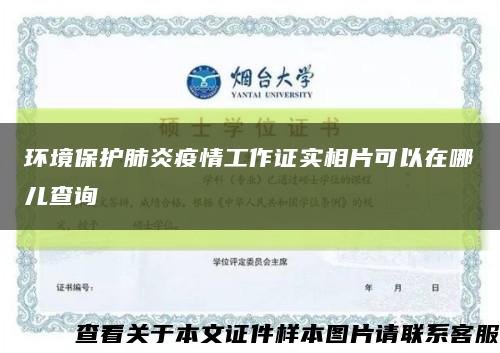 环境保护肺炎疫情工作证实相片可以在哪儿查询缩略图