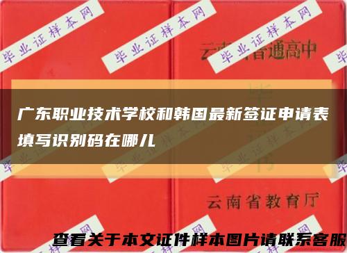 广东职业技术学校和韩国最新签证申请表填写识别码在哪儿缩略图