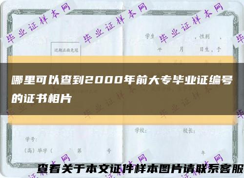 哪里可以查到2000年前大专毕业证编号的证书相片缩略图