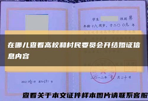 在哪儿查看高校和村民委员会开结婚证信息内容缩略图