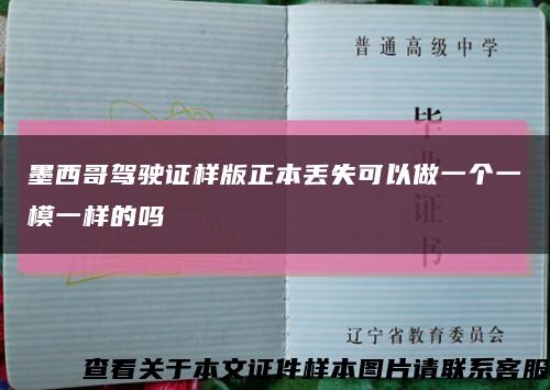 墨西哥驾驶证样版正本丢失可以做一个一模一样的吗缩略图