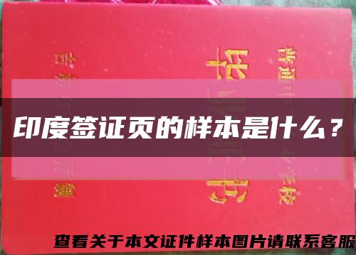 印度签证页的样本是什么？缩略图