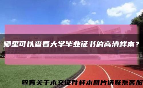 哪里可以查看大学毕业证书的高清样本？缩略图