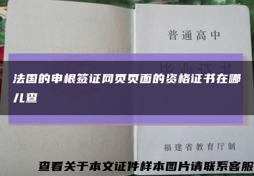 法国的申根签证网页页面的资格证书在哪儿查缩略图