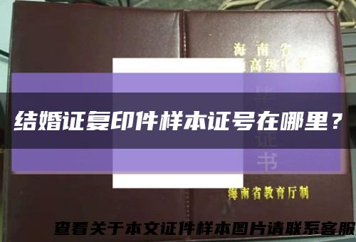 结婚证复印件样本证号在哪里？缩略图