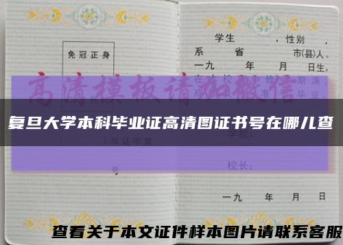 复旦大学本科毕业证高清图证书号在哪儿查缩略图