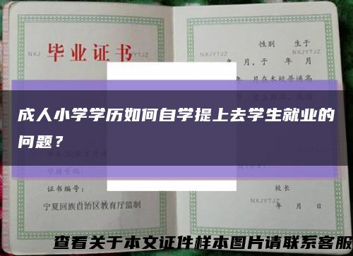 成人小学学历如何自学提上去学生就业的问题？缩略图