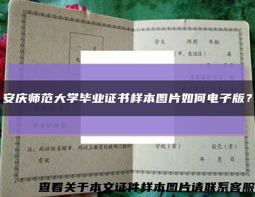 安庆师范大学毕业证书样本图片如何电子版？缩略图