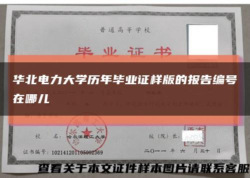 华北电力大学历年毕业证样版的报告编号在哪儿缩略图