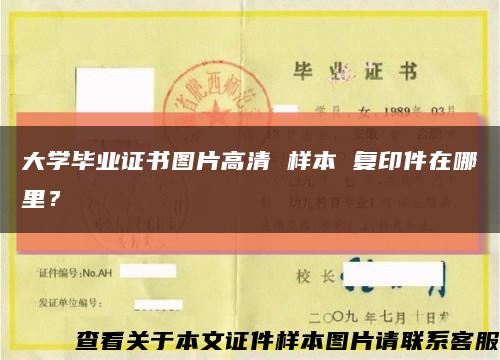 大学毕业证书图片高清 样本 复印件在哪里？缩略图