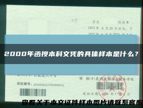 2000年函授本科文凭的具体样本是什么？缩略图