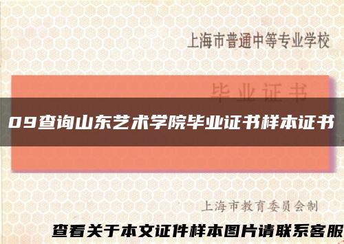 09查询山东艺术学院毕业证书样本证书缩略图