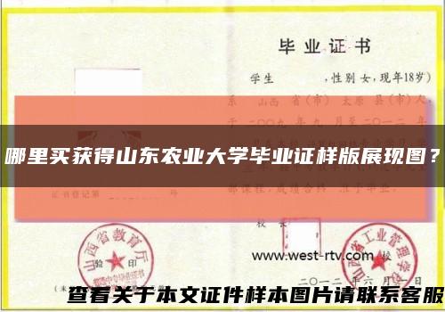 哪里买获得山东农业大学毕业证样版展现图？缩略图