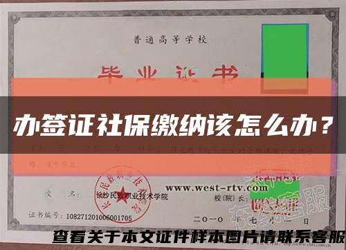 办签证社保缴纳该怎么办？缩略图