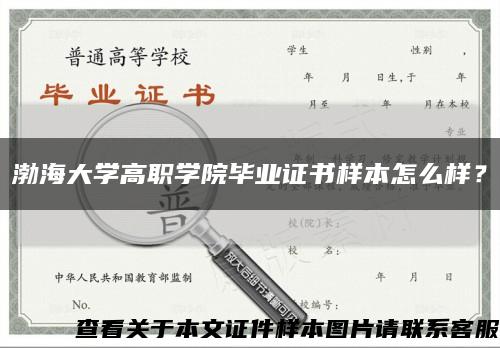 渤海大学高职学院毕业证书样本怎么样？缩略图