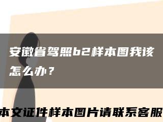 安徽省驾照b2样本图我该怎么办？缩略图