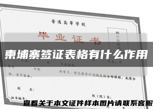 柬埔寨签证表格有什么作用缩略图