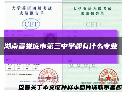 湖南省娄底市第三中学都有什么专业缩略图