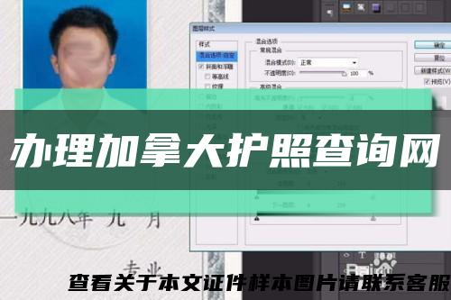 办理加拿大护照查询网缩略图