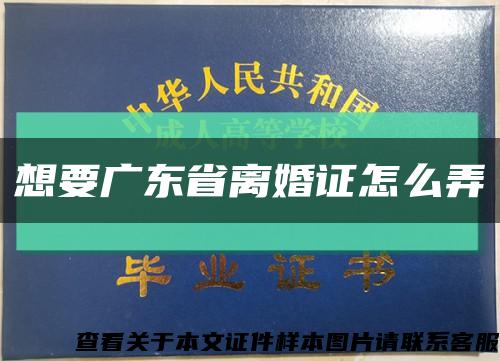 想要广东省离婚证怎么弄缩略图