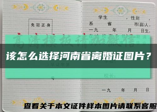 该怎么选择河南省离婚证图片？缩略图