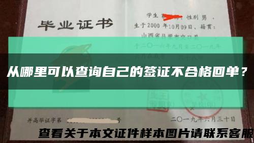 从哪里可以查询自己的签证不合格回单？缩略图