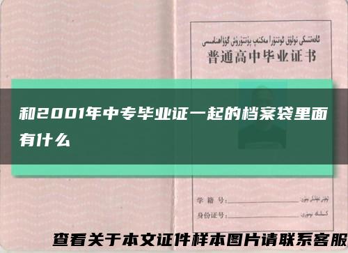 和2001年中专毕业证一起的档案袋里面有什么缩略图