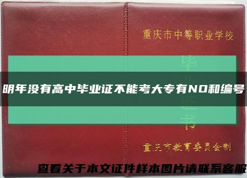 明年没有高中毕业证不能考大专有NO和编号缩略图