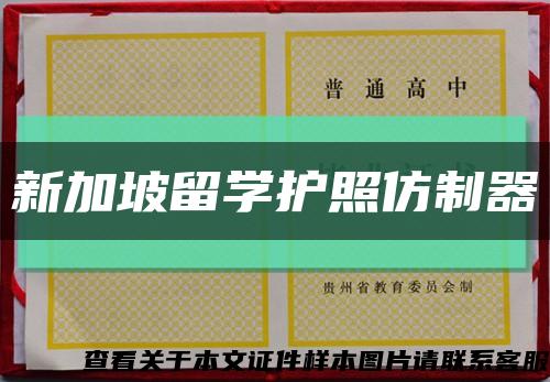 新加坡留学护照仿制器缩略图