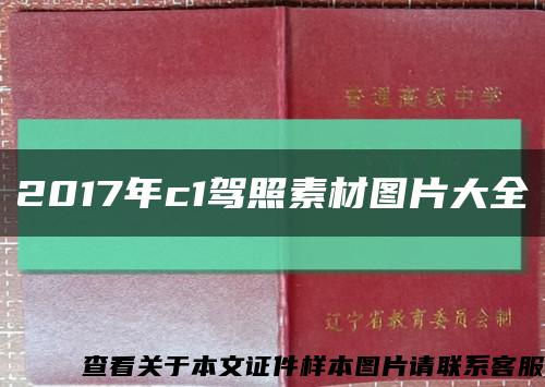 2017年c1驾照素材图片大全缩略图