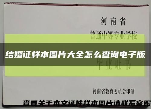 结婚证样本图片大全怎么查询电子版缩略图