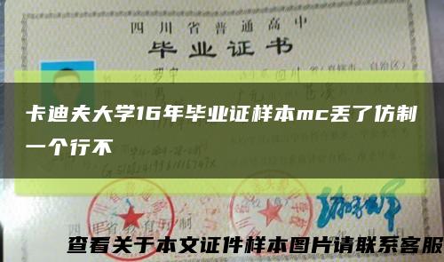 卡迪夫大学16年毕业证样本mc丢了仿制一个行不缩略图