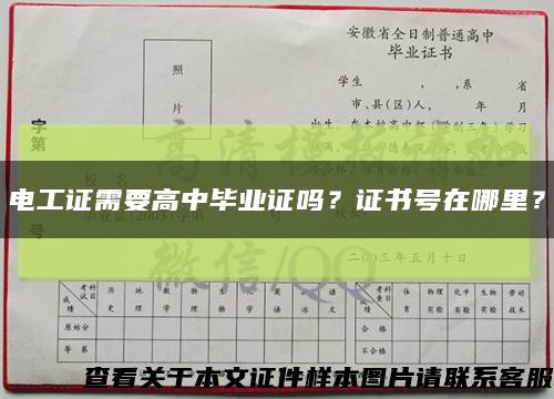 电工证需要高中毕业证吗？证书号在哪里？缩略图