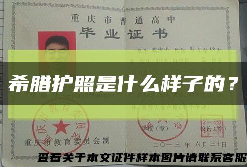 希腊护照是什么样子的？缩略图