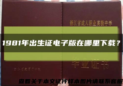 1981年出生证电子版在哪里下载？缩略图