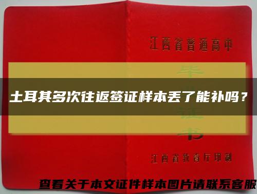 土耳其多次往返签证样本丢了能补吗？缩略图