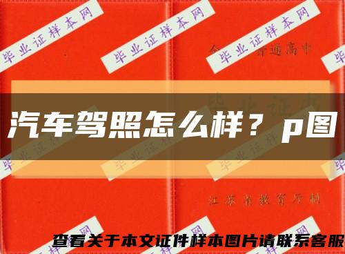 汽车驾照怎么样？p图缩略图