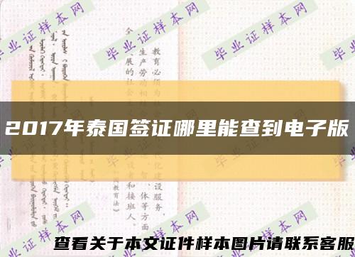 2017年泰国签证哪里能查到电子版缩略图