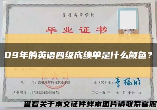 09年的英语四级成绩单是什么颜色？缩略图