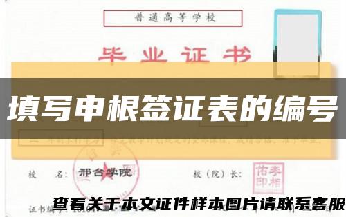 填写申根签证表的编号缩略图